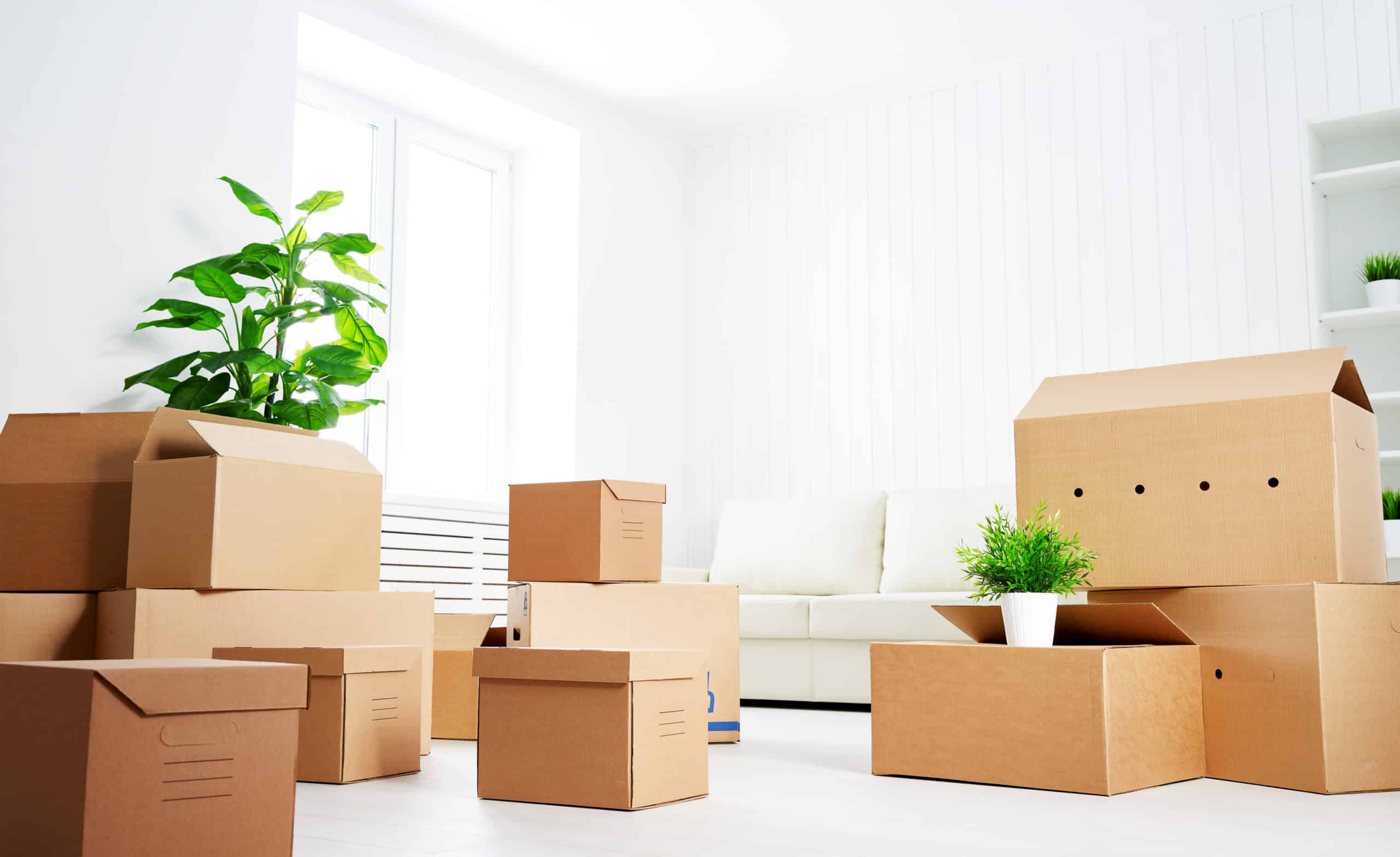 Moving Day Checklist: Everything You Should Do When Moving House